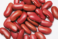 Beans - Kidney Red (LOCAL)